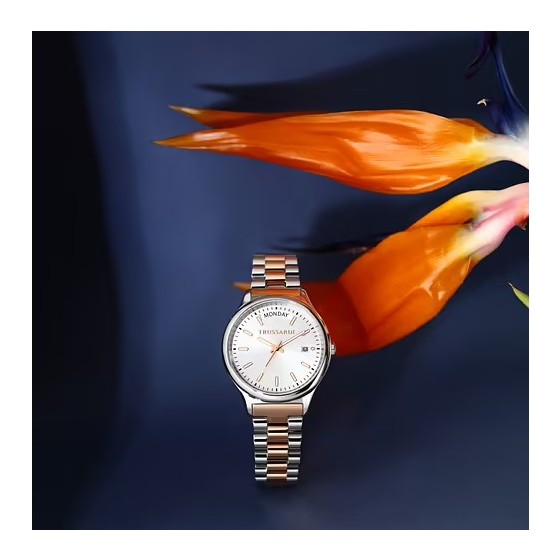 Orologio Trussardi City Life  R2453170501