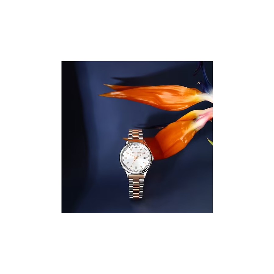Orologio Trussardi City Life  R2453170501